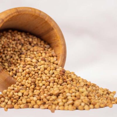 Bulk Organic Coriander Seeds - Baobabmart