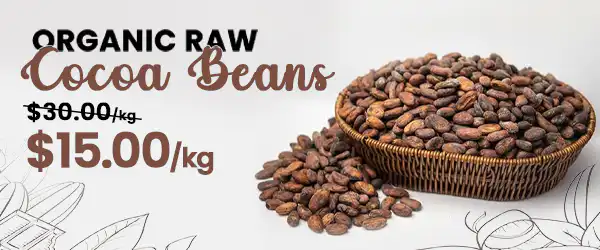 Granos de cacao crudos a la venta en Baoababmart -