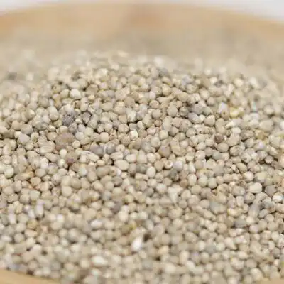Organic Fonio Seeds for Sale – bulk fonio seeds for sale from West African farmers, available globally via Baobabmart