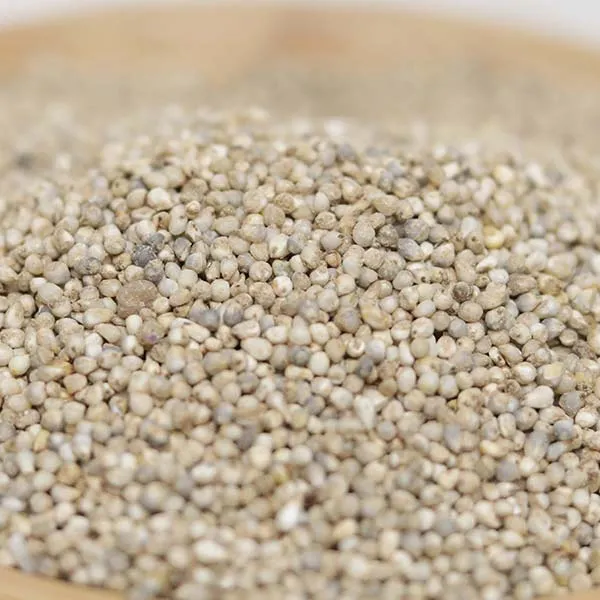 Organic Fonio Seeds for Sale – bulk fonio seeds for sale from West African farmers, available globally via Baobabmart