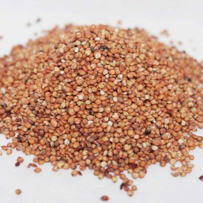 Red millet seeds for sale – organic red millet from African farms, ideal for birds, food, and planting, available now at Baobabmart