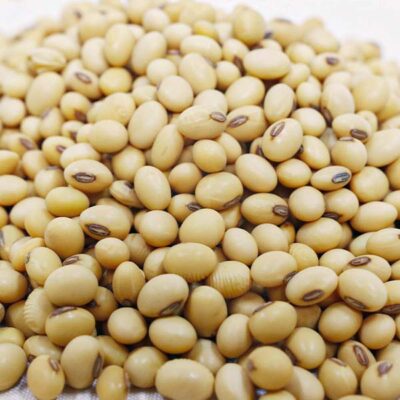 Soy Beans for Sale – Organic Soy Beans for Sale, premium African soyabeans available in bulk with fast international delivery from Baobabmart