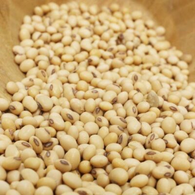 Soy Beans for Sale – Organic Soy Beans for Sale, premium African soyabeans available in bulk with fast international delivery from Baobabmart