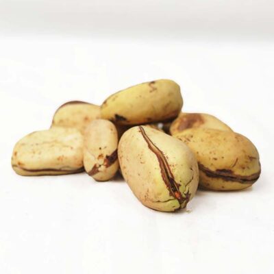 White Kola Nut for Sale – African Fresh White Kola Nuts (Cola acuminata) handpicked and organic, available worldwide at Baobabmart