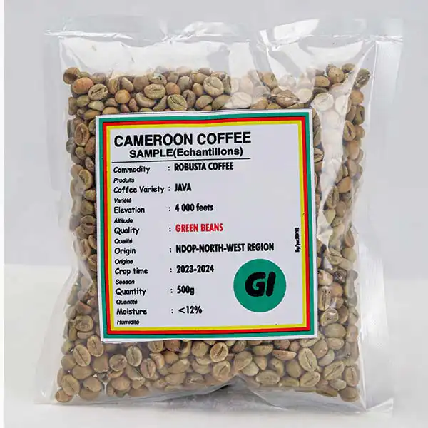 Robusta Green Coffee Beans for Sale – premium African robusta coffee beans in GG, G1, and G2 screen sizes, available globally at Baobabmart