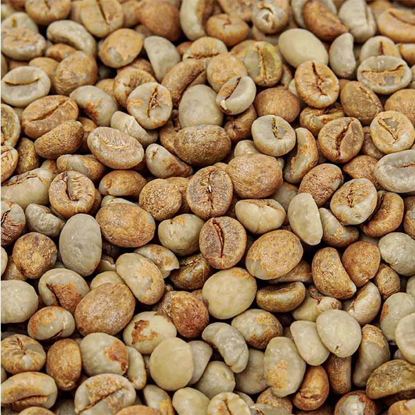 Robusta Green Coffee Beans 5 Robusta Green Coffee Beans for Sale – premium African robusta coffee beans in GG, G1, and G2 screen sizes, available globally at Baobabmart