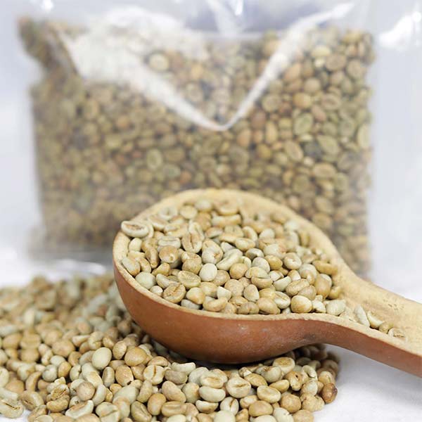 Robusta Green Coffee Beans 8 Robusta Green Coffee Beans for Sale – premium African robusta coffee beans in GG, G1, and G2 screen sizes, available globally at Baobabmart